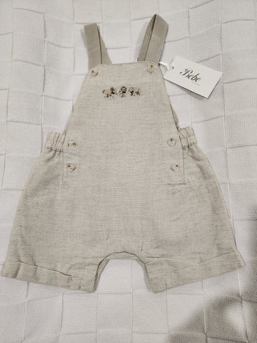Safari overall